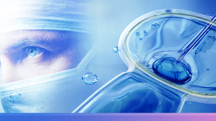 Embryologist looking through a microscope beside an egg being fertilised in an IVF laboratory